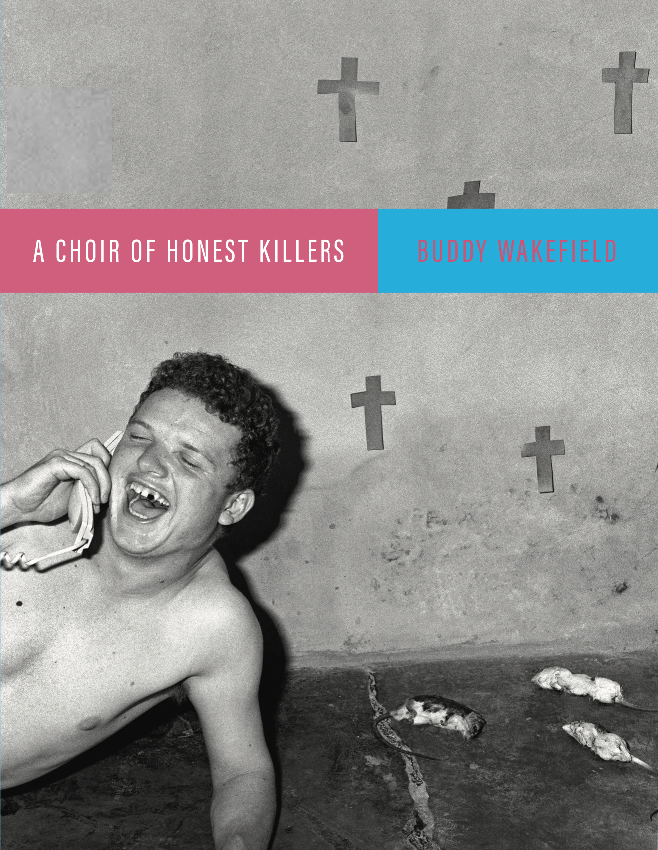 A Choir of Honest Killers book cover