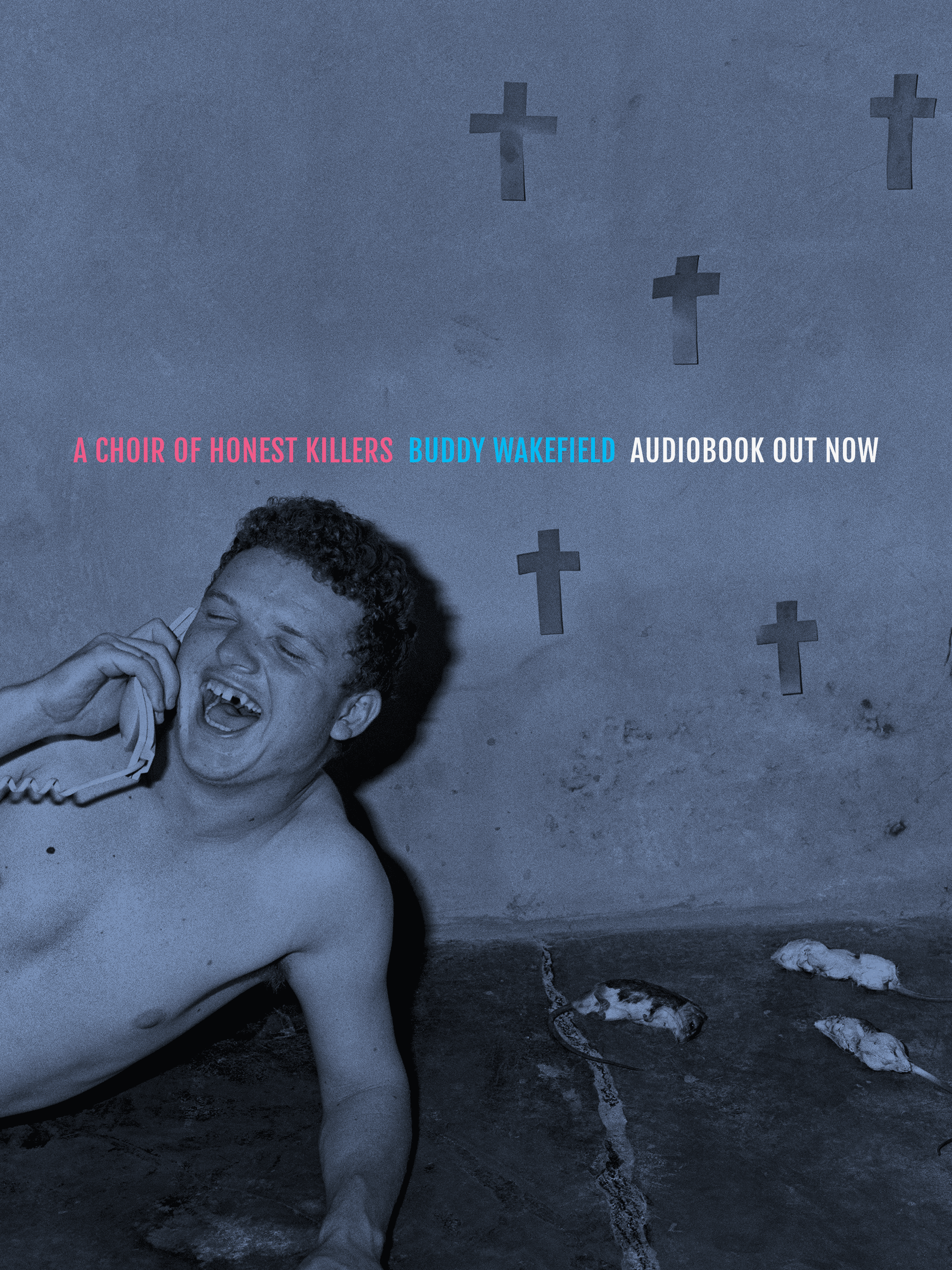A Choir of Honest Killers book cover